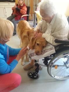 Hundeschule Axstedt -Trainingszentrum für Hund & Halter in Niedersachsen