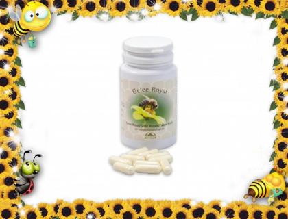 Alpen-Vital ~Leben im Mineralischen Gleichgewicht~