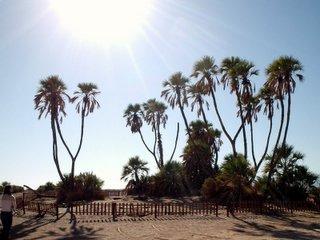 BADEURLAUB AM ROTEN MEER ISRAEL