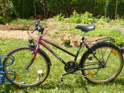 (168) 18 Gang 26 Zoll CLIPPER tiefer Einstieg