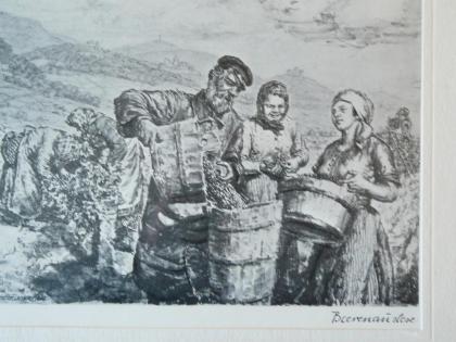 Strieffler Heinrich Beerenauslese Grafik. B074