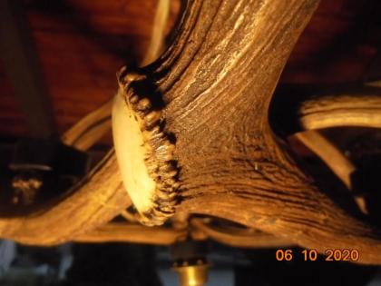 Kronleuchter, Deckenlampe, Hängelampe, Geweih, Gehörn, Geweihlampe, Geweihkronle