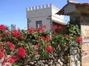 Finca Cerradura in Icod de los Vinos im Norden von Teneriffa