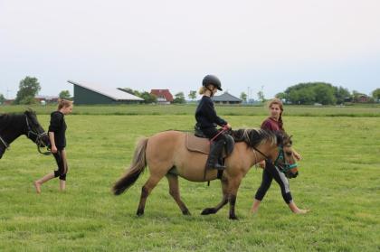 Kinderreitferien & Reiten für Erwachsene