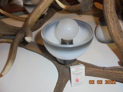 Kronleuchter, Deckenlampe, Hängelampe, Geweih, Gehörn, Geweihlampe, Geweihkronle