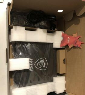 MSI GE66 Raider Notebook Gaming