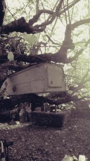 Nistkästen und Futterhäuser für Vögel