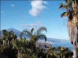 Teneriffa Villa faisan