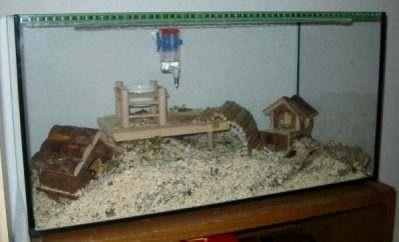 Terrarium inkl. 3 Farbmäuse