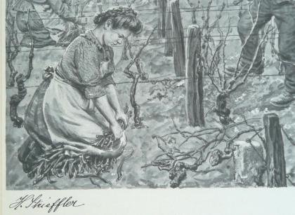 Strieffler Heinrich Rebenschneiden Grafik. B068