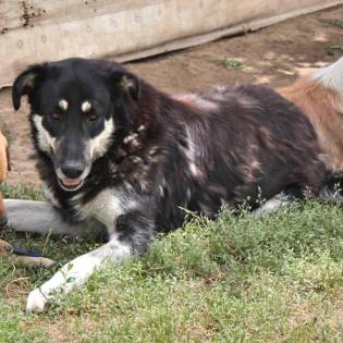 Zumby - benötigt nach einen Unfall Physiotherapie für den Rücken