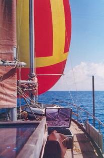 Segeln für Individualistinnen und Individualisten
