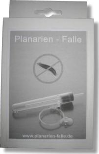 Planarienfalle gegen Planarien im Aquarium mit Garnelen, Krebsen und Schnecken