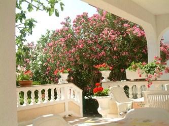 Haus Toni, Palit , Rab