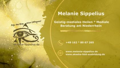 Schamanische Reise zum eigenen Krafttier am Niederrhein