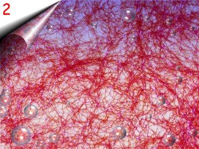 Laser Lace - Nagel Netz um 2, 40€