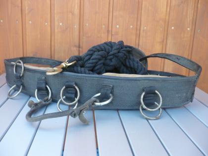 Pferdezubehör günstig abzugeben