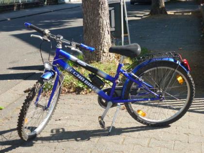 (103) 7 Gang Rücktrittsbremse 24 Zoll TECHNO-BIKE Made in Italia
