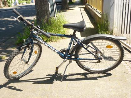 (198) 18 Gang DIAMOUNT BACK 24 Zoll Rh 37 MADE IN USA