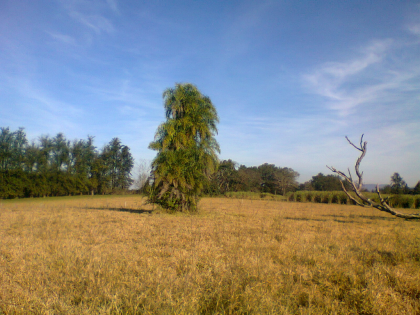 3 ha Grundstück Kolonie Independencia Paraguay