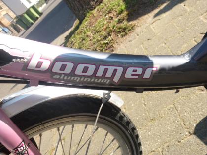 (38) 3 Gang Rücktrittsbremse 20 Zoll tiefer Einstieg Rh 33 Alu-R