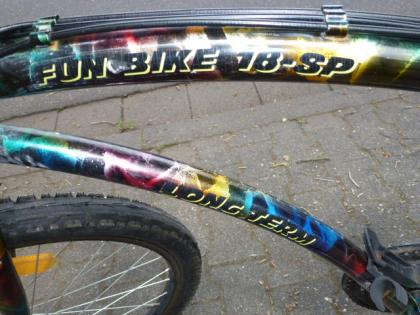 (4) 18 Gang HOLLAND mit Anhänger 26 Zoll Rh 43