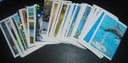 Unsere Erde, Unsere Wunderwelt & Unser Deutschland