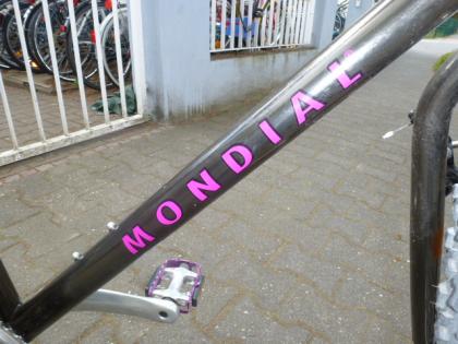 (177) 21 Gang 26 Zoll Rh 45