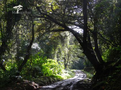 Madagaskar Reise durch den Norden 2021