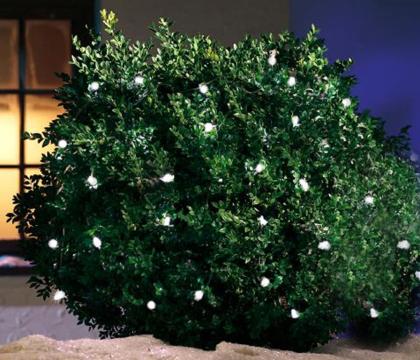 Lichterkette, Weihnachtsbaumbeleuchtung, LED-Lichterkette