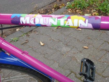 (63) 18 Gang 26 Zoll Rh 55 MOUNTAIN Qualität mit Beleuchtung