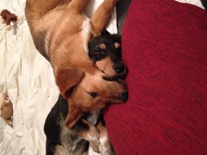 Murmel und Sally suchen ein Zuhause!!