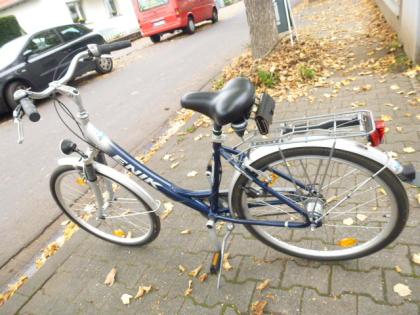 (224) 7 Gang Rücktrittsbremse + 2 Felgenbremsen 28 Zoll Rh 45 A