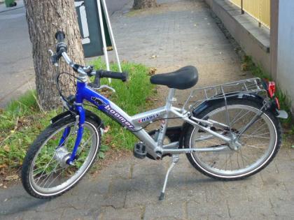 (80) 3 Gang Rücktrittsbremse + 2 Felgenbremsen Nabendynamo 20 Zoll