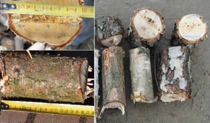 Häcksler, Gartenhäcksler, Schredder für Holz