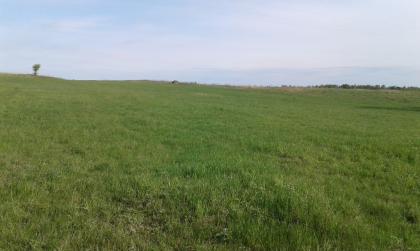 Bauernhof Ukraine, gratis mit Pachtland in jeder Grösse