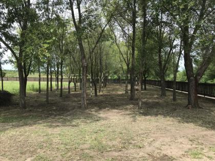 In Süd-Ungarn Rúzsa ein kleines Bauernhof günstig ist zu verkaufen