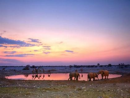 15 Tage Rundreise Namibia & Südafrika. Faszination südliches Afrika.