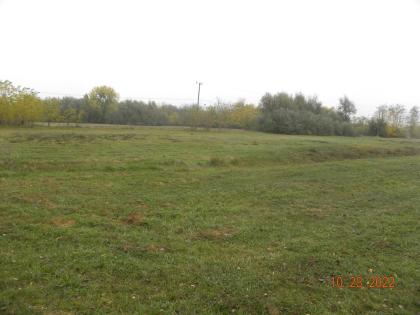  In Ungarn Kiskunmajsa 120 m2 Bauernhof mit Nebengebaude und 7,6 ha Fláche ist z
