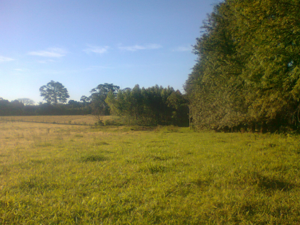3 ha Grundstück Kolonie Independencia Paraguay