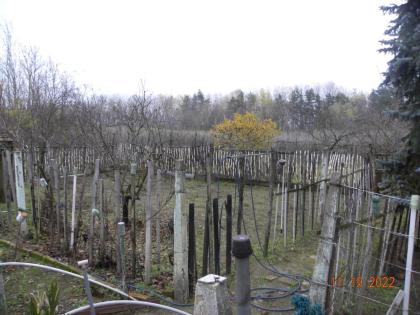  In Ungarn am Csikéria ein 130 m2 Bauernhaus mit 4300 m2 Grundstück ist zu verka