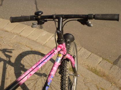 (19) 21 Gang GIANT  26 Zoll Rh 51 mit BELEUCHTUNG