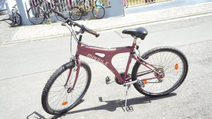 (72) 21 Gang MISSILE 26 Zoll Rh 50 wunderbarer RAHMEN