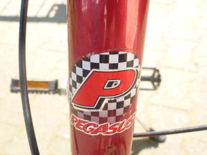 (161) 3 Gang Rücktrittsbremse 20 Zoll tiefer Einstieg PEGASUS