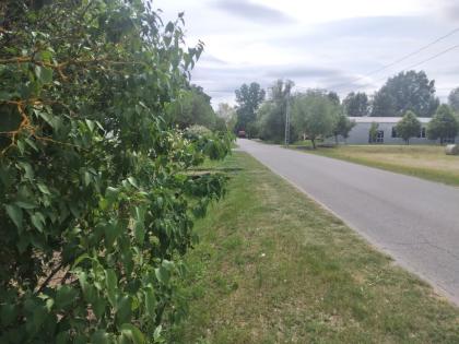 In Ungarn am Kiskunmajsa Thermalstadt  180 m2 Einfamilienhaus mit 1000 m2 Grunds