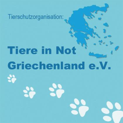 Hundetransportboxen als Spenden gesucht!
