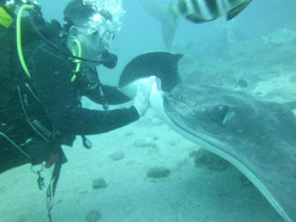 Tauchen auf Teneriffa mit Ocean Trek,  Playa Americas
