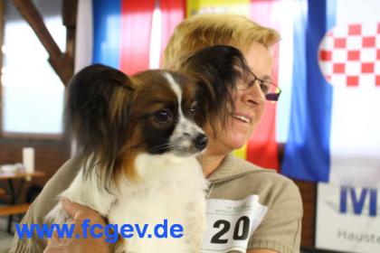 Rasse & Mischlings-Hundeschau  CAC Landessiegerschau  in Ruppertsweiler 1. März 