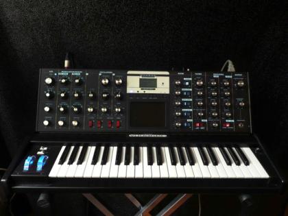 Moog minimoog voyager Electric
