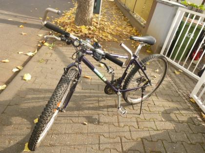 (213) 21 Gang 26 Zoll Rh 40 sehr leicht